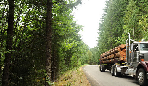 lorry laden with trees from forest